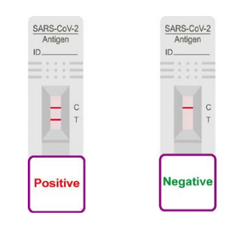 Ag Rapid Saliva Tes Device COVID 19 Antigen Test LgG Home Use Easy Operating